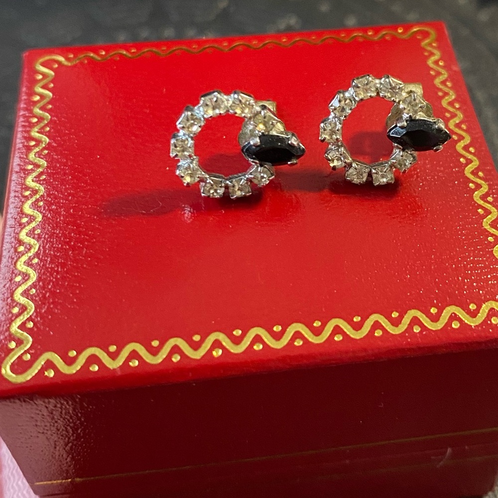 Fashion earrings